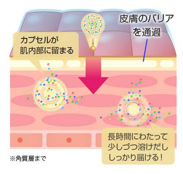 バランシングナノ