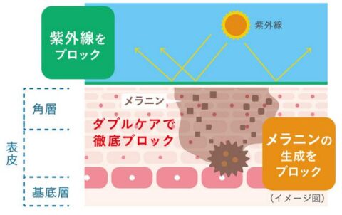 ニュートロックスサン