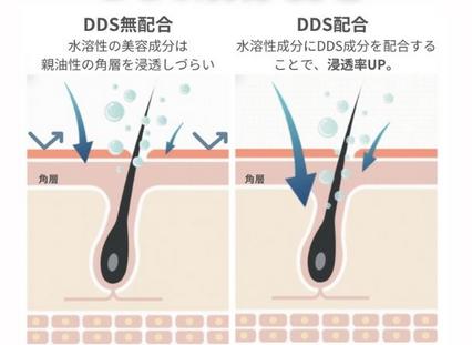 DDS ドラッグデリバリーシステム