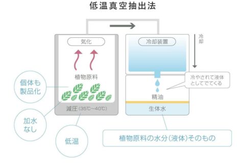 低温真空抽出法