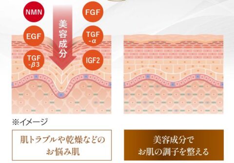 リポグロースファクターNMN